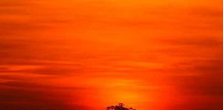 Caos climático: En estas ciudades del mundo no verán el sol hasta 2022