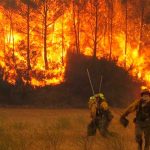 Los incendios forestales a nivel global marcan récord de carbono emisiones