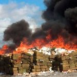 Queman 21 toneladas de marihuana y casi drogan a un pueblo en Argentina