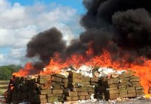 Queman 21 toneladas de marihuana y casi drogan a un pueblo en Argentina