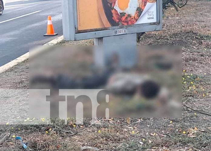 Chocó contra la cuneta: sujeto muere frente a la Aduana, Carretera Norte