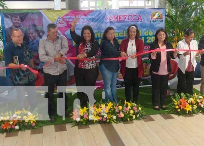 INAFOR realizó con la participación de instituciones un Congreso Nacional Forestal