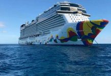 Brote de COVID-19 en crucero que llegará a EEUU tras viaje por México y Honduras
