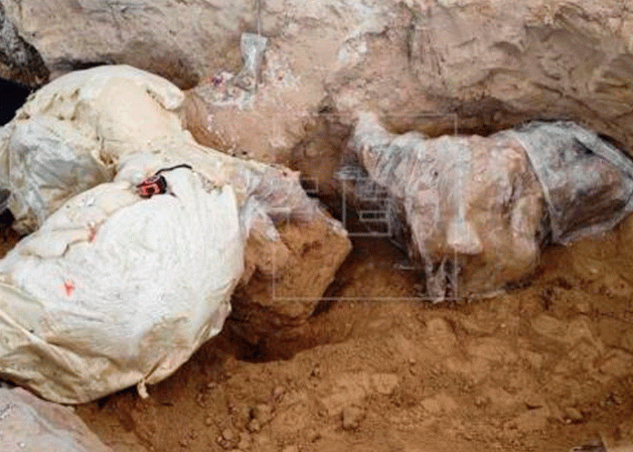 Encuentran restos de un mamut de hace más de 10.000 años en México