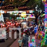 INAFOR entrega árboles de madroño en Managua