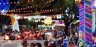 INAFOR entrega árboles de madroño en Managua