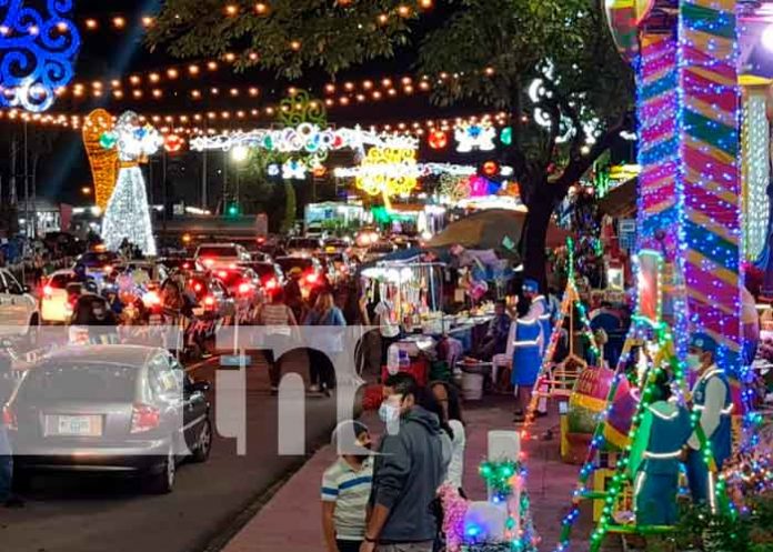 INAFOR entrega árboles de madroño en Managua