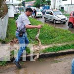 Serpiente alarmó a pobladores de un barrio de Bluefields