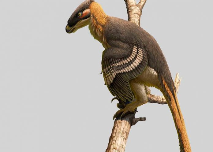 2 Descubren una nueva especie de dinosaurio depredador en el Reino Unido