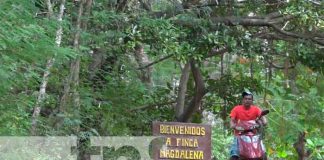 Destino turístico para fiestas de fin de año