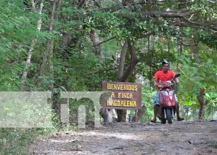 Destino turístico para fiestas de fin de año