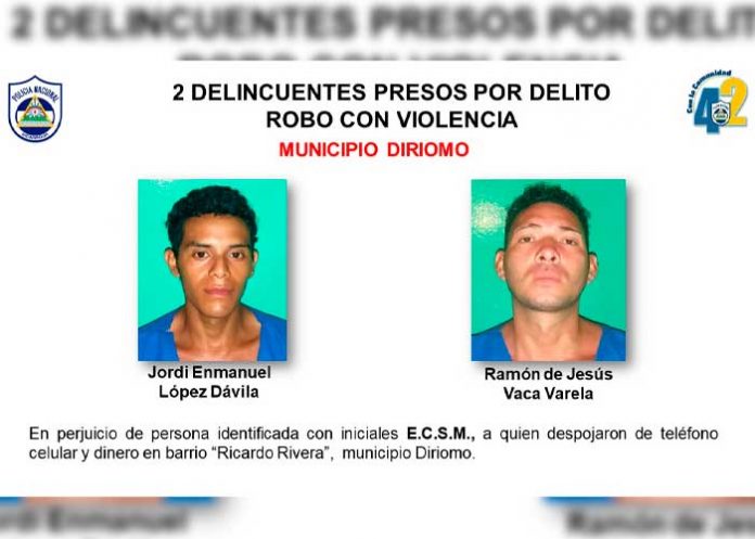 Detienen a 9 sujetos por varios delitos en Granada