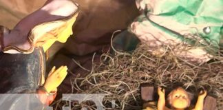 Bellos altares al Niño Dios compiten en Moyogalpa