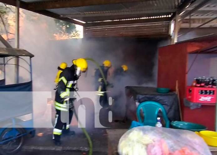 Preparados ante cualquier evento de la naturaleza en León