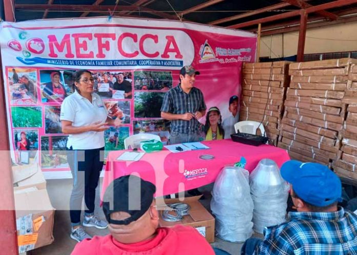 Ganaderos reciben bonos tecnológicos en Jinotega