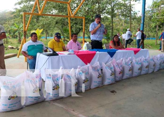 4.3 Entregan mil bonos de frijoles a productores de Siuna