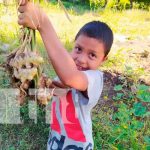 Joven emprende con iniciativa de patios saludable en Nandaime Iniciativas de patios verdes en Nandaime