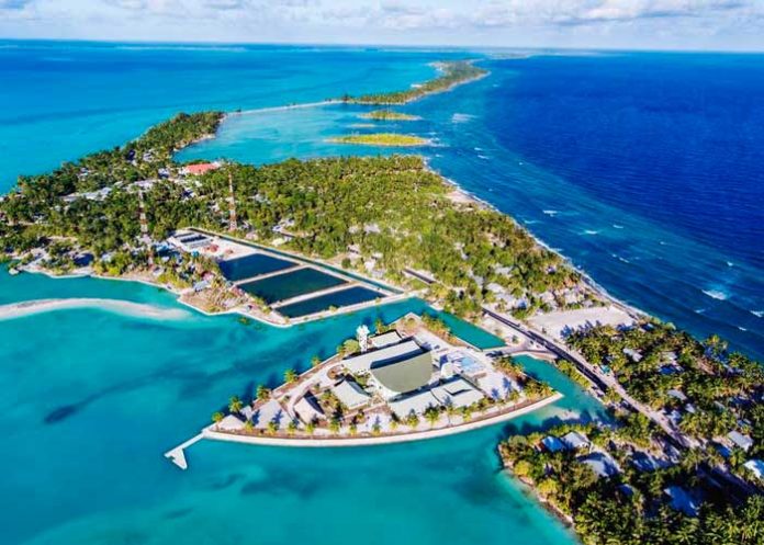 Conoce cual es el primer país en recibir el año nuevo 2022