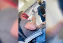 Hombre es expulsado de un avión por llevar una tanga como tapabocas, EE.UU Hombre es expulsado de un avión por llevar una tanga como tapabocas, EE.UU