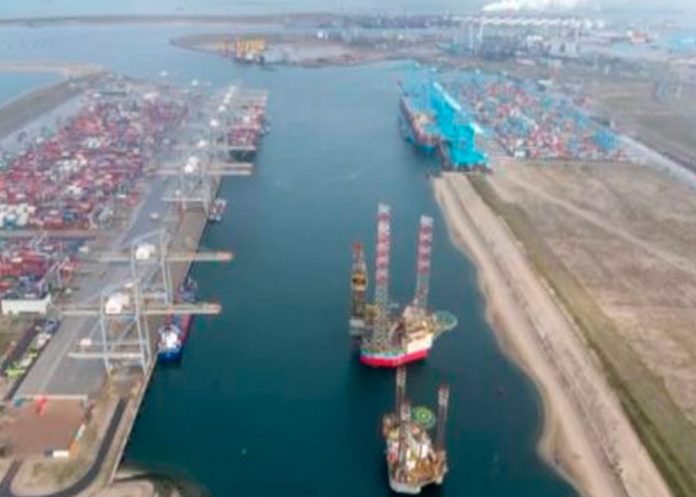 Marca-de-agua-TN8-(2)-(1)