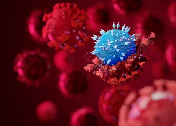 Anuncian dos posibles caso de la variante Ómicron en Argentina