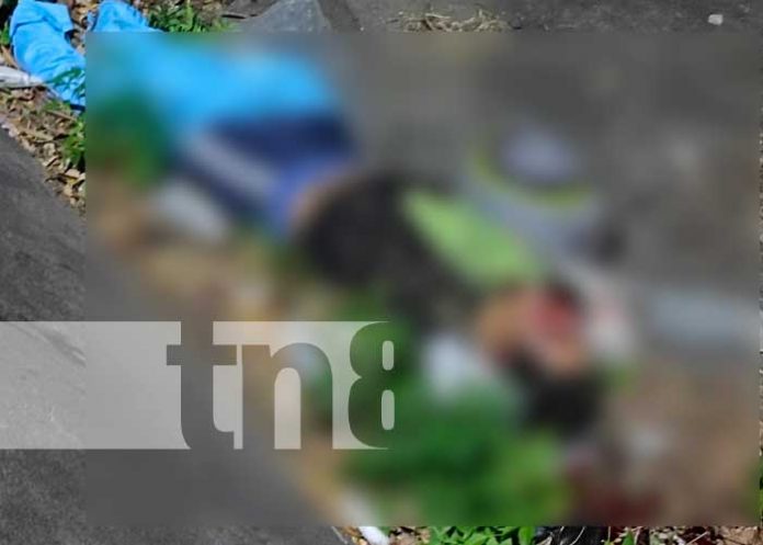 Hombre muere al estrellarse contra un poste luz en Batahola Sur