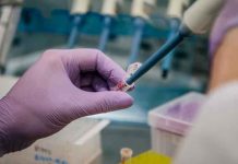 Rusia confirmó los dos primeros casos de la variante ómicron