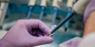 Rusia confirmó los dos primeros casos de la variante ómicron