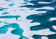 La ONU “enciende alarmas” por nuevo récord de calor en el Ártico