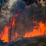 Arde Chile: Más de 26 mil hectáreas consumidas por incendios forestales Trabajo arduo para contener incendios forestales en Chile