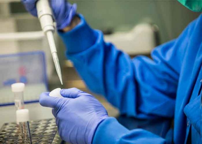 Estudio revela el efecto del COVID-19 en el esperma