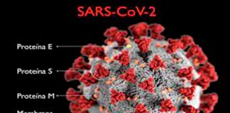 Coronavirus