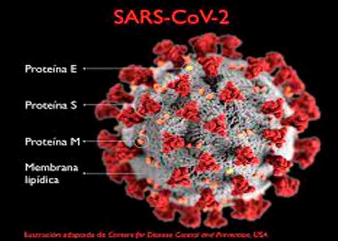 Coronavirus