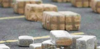 Cae red que introducía en Europa droga en bloques de hormigón desde México