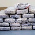 Hallan cocaína en los Cayos de Florida valorada en un millón de dólares Hallan cocaína en los Cayos de Florida valorada en un millón de dólares