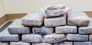 Hallan cocaína en los Cayos de Florida valorada en un millón de dólares