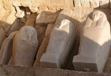 ¡Asombroso hallazgo! En Egipto encuentran restos humanos con lenguas de oro ¡Asombroso hallazgo! En Egipto encuentran restos humanos con lenguas de oro