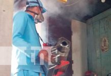 Eliminación del zancudo es tarea de todos, recuerdan brigadistas en Managua