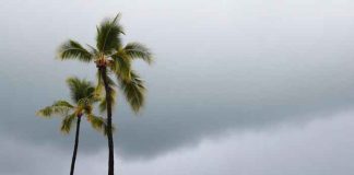 Declaran estado de emergencia en Hawái por peligrosa tormenta