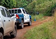 ¡Brutal masacre! Matan a cuatro menores de edad en Honduras