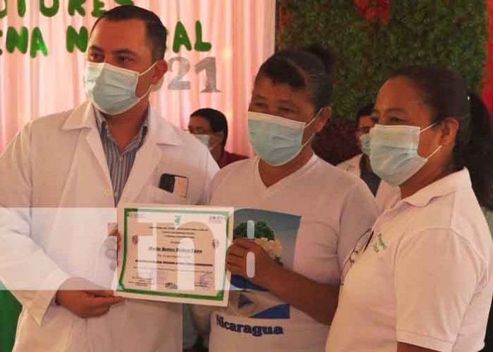 MINSA promueve medicina natural en Madriz con tratamientos a base de plantas