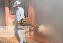 Continúan el combate contra las enfermedades vectoriales en Managua Continúan el combate contra las enfermedades vectoriales en Managua
