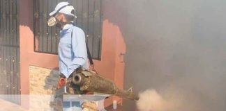 Continúan el combate contra las enfermedades vectoriales en Managua