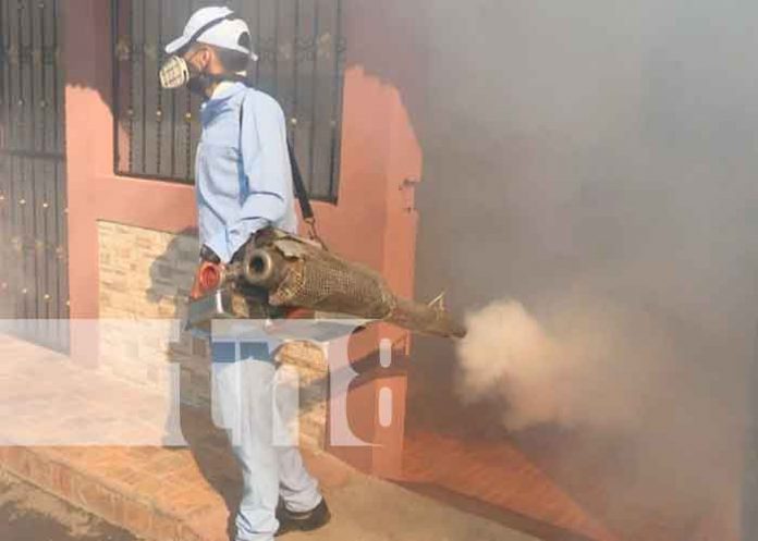Continúan el combate contra las enfermedades vectoriales en Managua