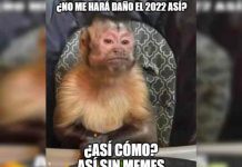 Estos fueron los memes más divertidos del 2021 Estos fueron los memes más divertidos del 2021