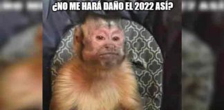 Estos fueron los memes más divertidos del 2021