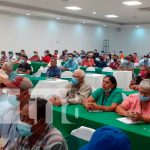 Foro ganadero en Nicaragua que brinda datos de las exportaciones