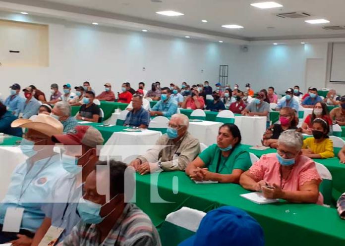 Foro ganadero en Nicaragua que brinda datos de las exportaciones