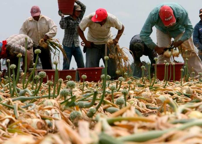 migrantes2 Liberan a 100 migrantes en EE.UU. de una red de