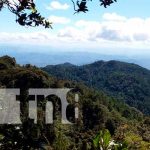 La montaña más alta de Nicaragua, ¿cómo se llega y qué tanto cuesta escalarla? Una aventura inolvidable en el Cerro Mogotón, la montaña más alta de Nicaragua